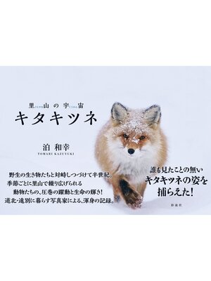 cover image of 里山の宇宙　キタキツネ